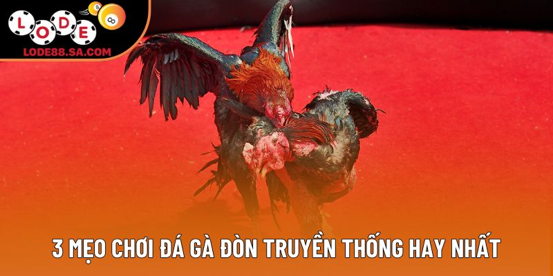 3 mẹo chơi đá gà đòn truyền thống hay nhất 3 mẹo chơi đá gà đòn truyền thống hay nhất