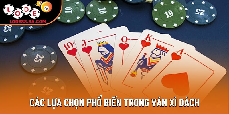 Các lựa chọn phổ biến trong ván xì dách Các lựa chọn phổ biến trong ván xì dách