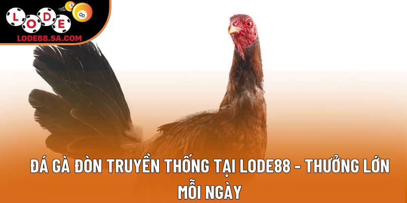 Đá Gà Đòn Truyền Thống Tại Lode88 - Thưởng Lớn Mỗi Ngày