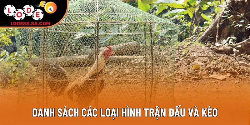 Danh sách các loại hình trận đấu và kèo Danh sách các loại hình trận đấu và kèo