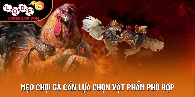 Mẹo chọi gà cần lựa chọn vật phẩm phù hợp Mẹo chọi gà cần lựa chọn vật phẩm phù hợp