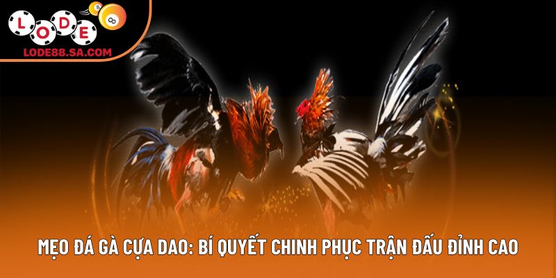 Mẹo Đá Gà Cựa Dao: Bí Quyết Chinh Phục Trận Đấu Đỉnh Cao